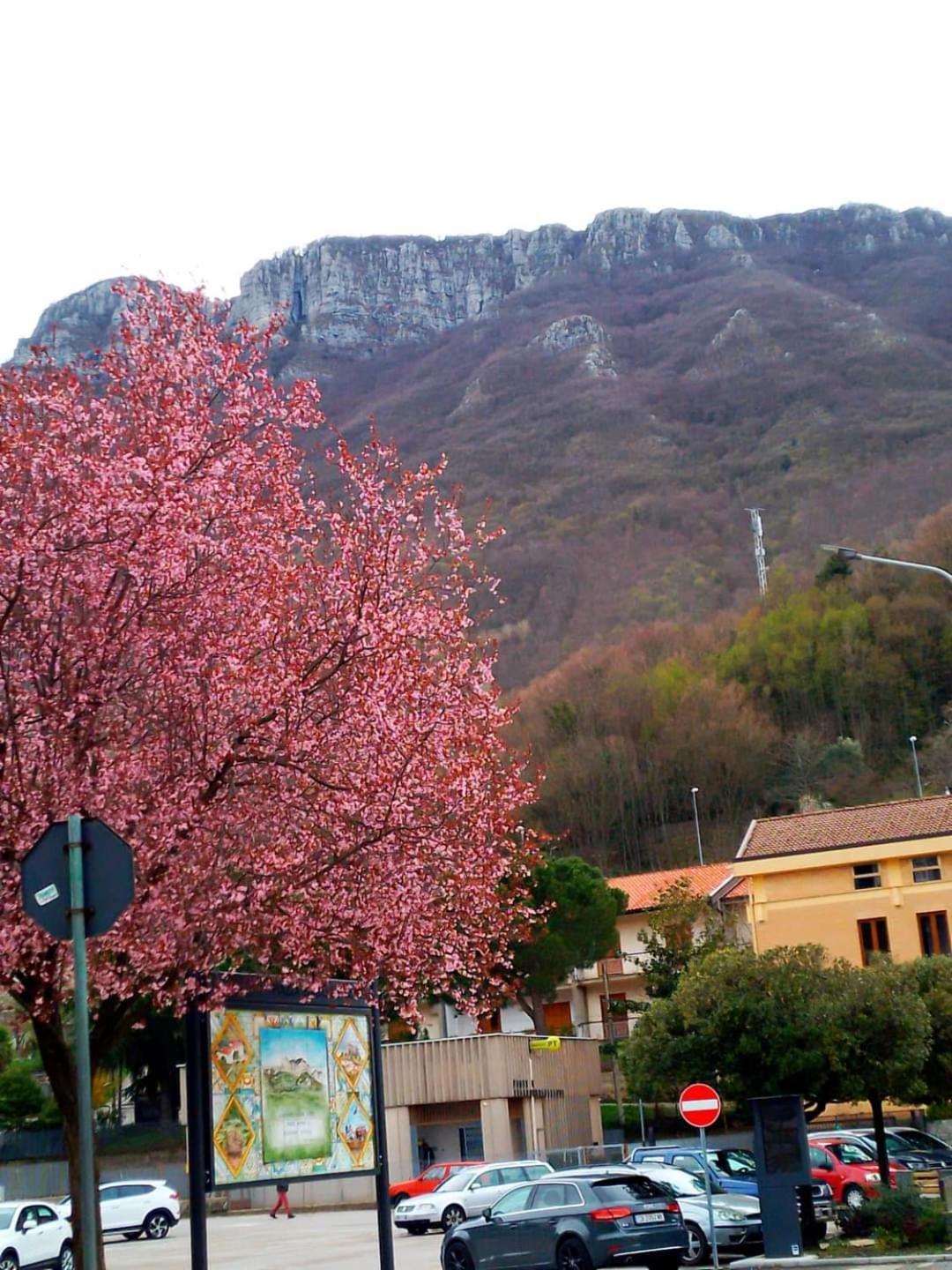 Sapori E Sapere Di Troisi Margherita Sicignano degli Alburni Exterior foto